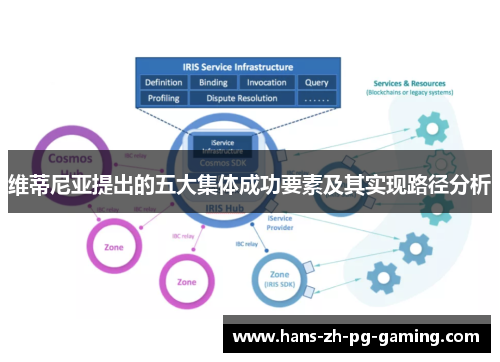 维蒂尼亚提出的五大集体成功要素及其实现路径分析
