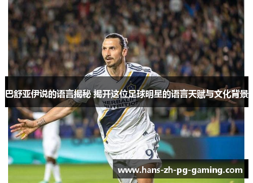 巴舒亚伊说的语言揭秘 揭开这位足球明星的语言天赋与文化背景