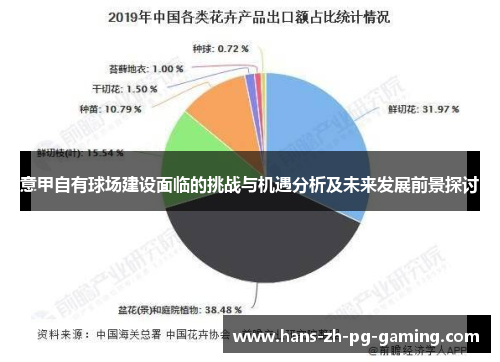 意甲自有球场建设面临的挑战与机遇分析及未来发展前景探讨 意甲自有球场建设面临的挑战与机遇分析及未来发展前景探讨