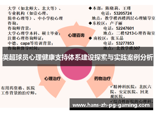 英超球员心理健康支持体系建设探索与实践案例分析