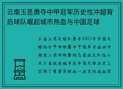 云南玉昆勇夺中甲冠军历史性冲超背后球队崛起城市热血与中国足球